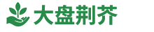 网站Logo